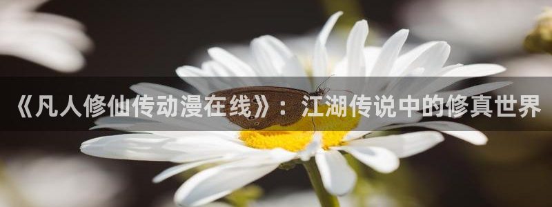 虫虫漫画热门作品：《凡人修仙传动漫在线》：江湖传说中的修真世界配图