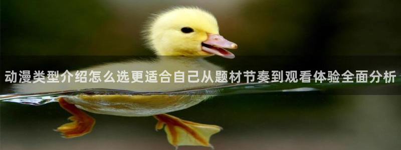 虫虫漫画手机阅读：动漫类型介绍怎么选更适合自己从题材节奏到观看体验全面分析配图