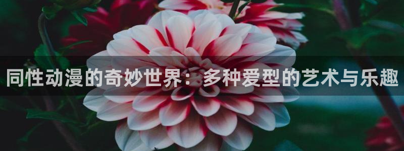 虫虫漫画在线：同性动漫的奇妙世界：多种爱型的艺术与乐趣配图