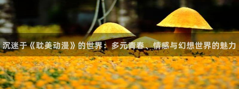 虫虫漫画高分排行榜:沉迷于《耽美动漫》的世界:多元青春、情感与幻想世界的魅力配图