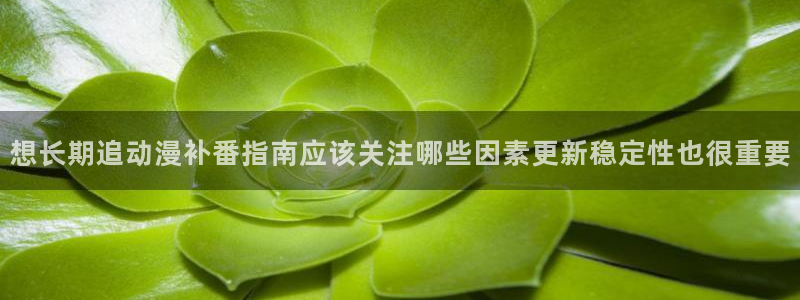 虫虫漫画连载:想长期追动漫补番指南应该关注哪些因素更新稳定性也很重要配图