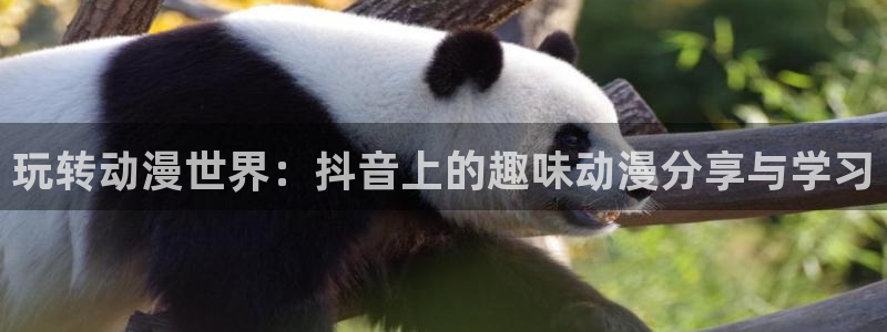 虫虫漫画免费:玩转动漫世界:抖音上的趣味动漫分享与学习配图